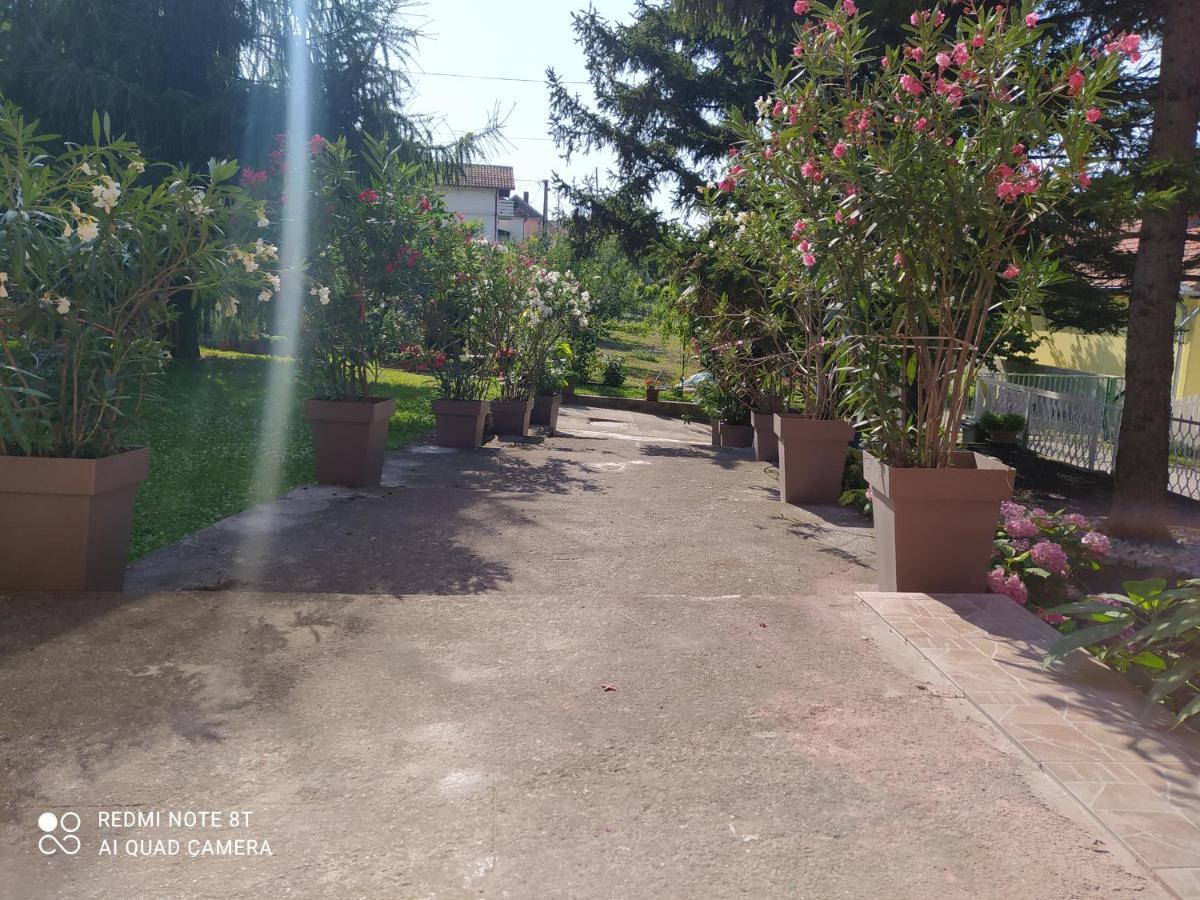 Apartment & Rooms Aleksandar Golubac Exterior foto